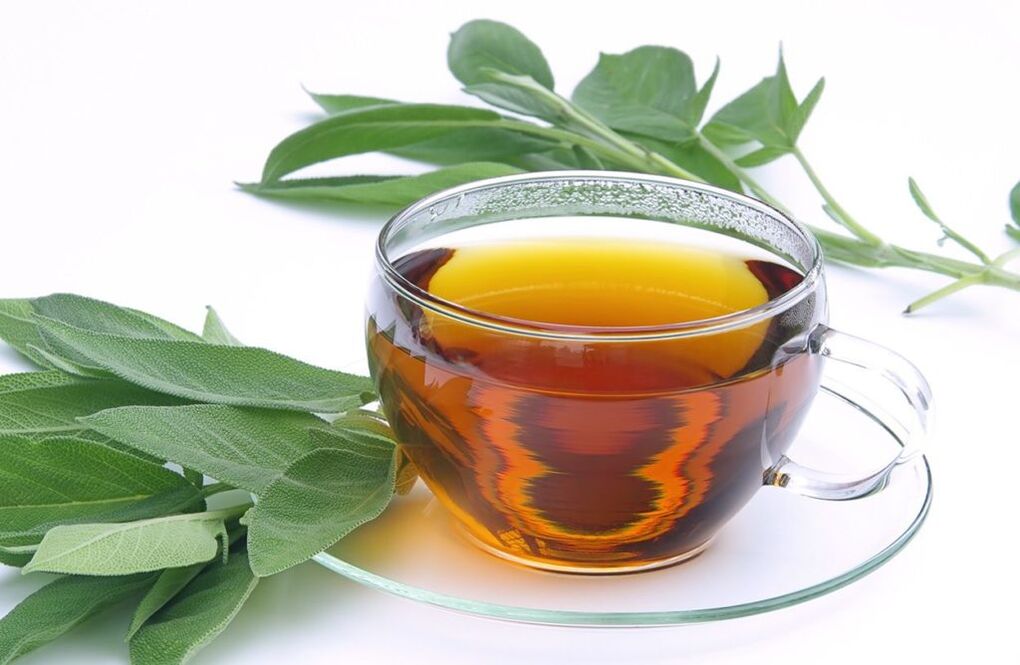 salbia tea bularra handitzeko